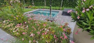 klein zwembad in kleine tuin